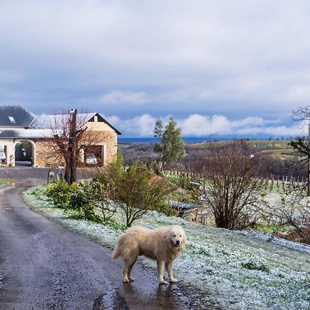 Pesaulhe Bed and Breakfast Monein Buitenkant foto