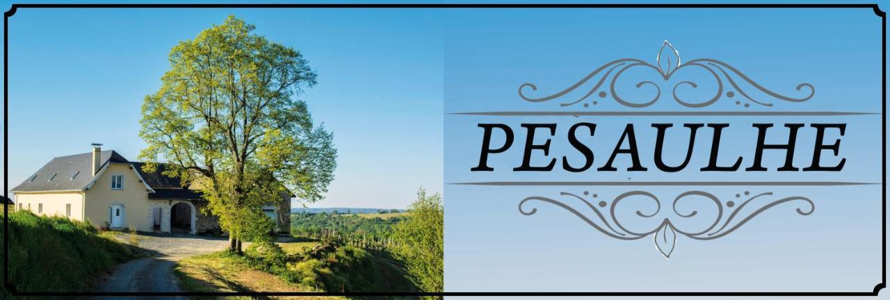 Pesaulhe Bed and Breakfast Monein Buitenkant foto