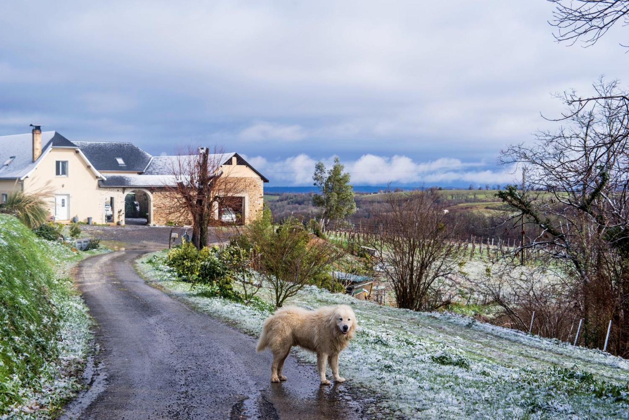 Pesaulhe Bed and Breakfast Monein Buitenkant foto